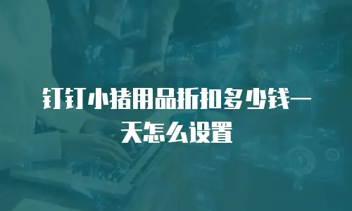 钉钉小猪用品折扣多少钱一天怎么设置