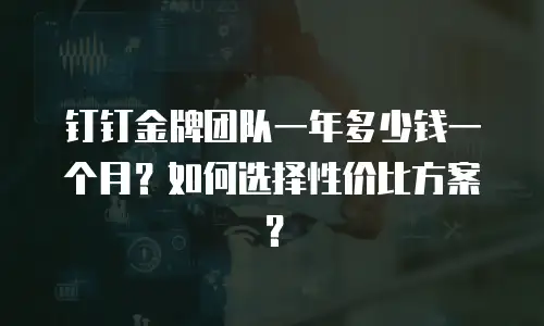 钉钉金牌团队一年多少钱一个月？如何选择性价比方案？