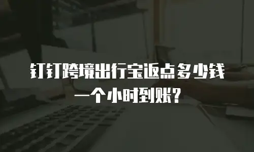 钉钉跨境出行宝返点多少钱一个小时到账？