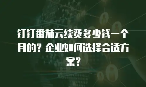 钉钉番茄云续费多少钱一个月的？企业如何选择合适方案？