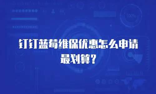 钉钉蓝莓维保优惠怎么申请最划算？