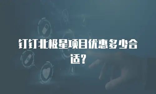 钉钉北极星项目优惠多少合适？