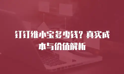钉钉维小宝多少钱？真实成本与价值解析
