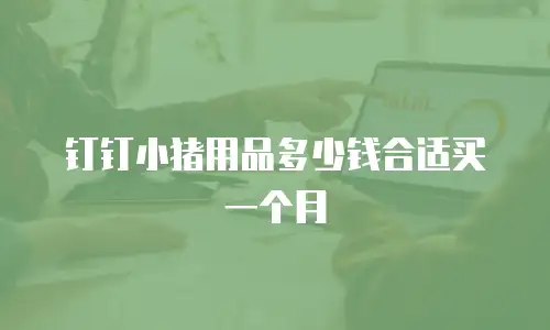 钉钉小猪用品多少钱合适买一个月