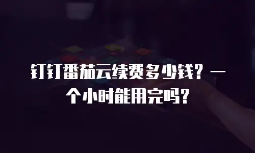 钉钉番茄云续费多少钱？一个小时能用完吗？