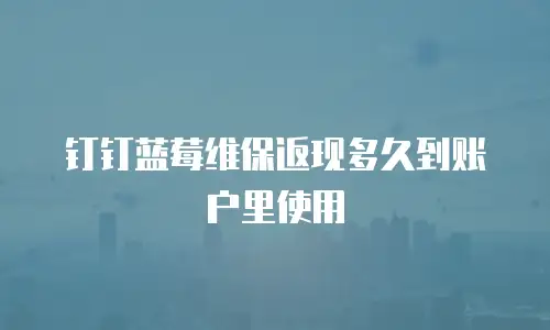 钉钉蓝莓维保返现多久到账户里使用