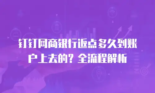 钉钉网商银行返点多久到账户上去的？全流程解析