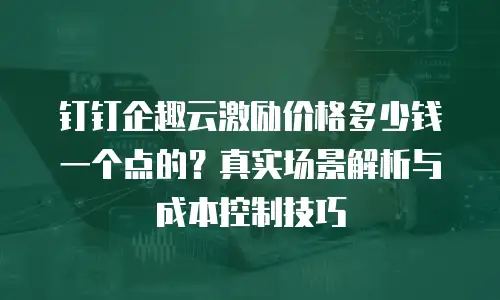 钉钉企趣云激励价格多少钱一个点的？真实场景解析与成本控制技巧