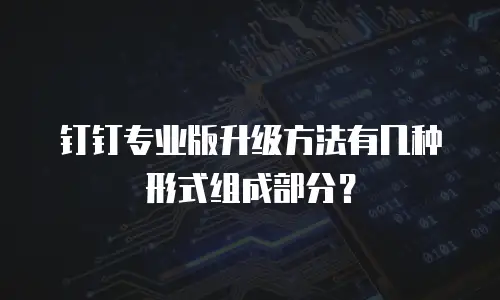 钉钉专业版升级方法有几种形式组成部分？
