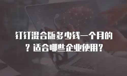 钉钉混合版多少钱一个月的？适合哪些企业使用？