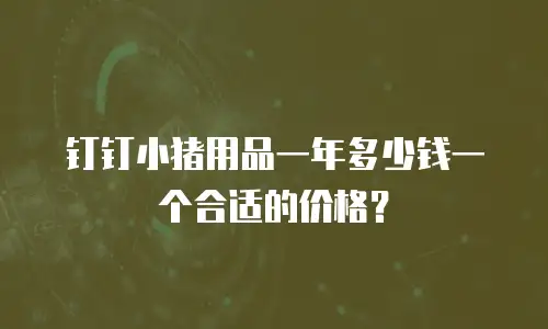 钉钉小猪用品一年多少钱一个合适的价格？