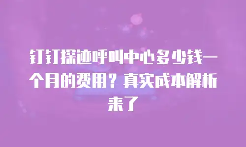 钉钉探迹呼叫中心多少钱一个月的费用？真实成本解析来了