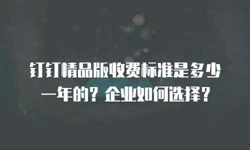 钉钉精品版收费标准是多少一年的？企业如何选择？