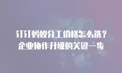 钉钉蚂蚁分工价格怎么选？企业协作升级的关键一步