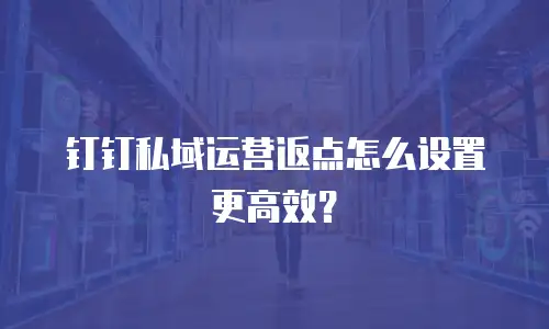 钉钉私域运营返点怎么设置更高效？