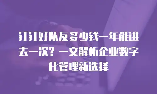 钉钉好队友多少钱一年能进去一次？一文解析企业数字化管理新选择