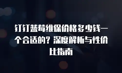 钉钉蓝莓维保价格多少钱一个合适的？深度解析与性价比指南