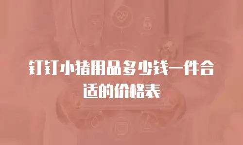钉钉小猪用品多少钱一件合适的价格表