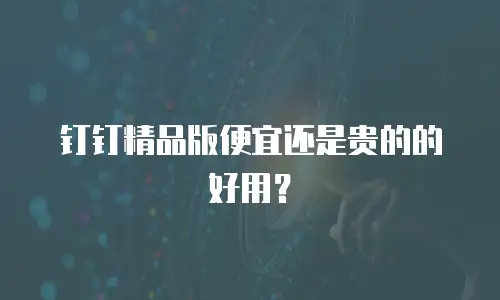 钉钉精品版便宜还是贵的的好用？