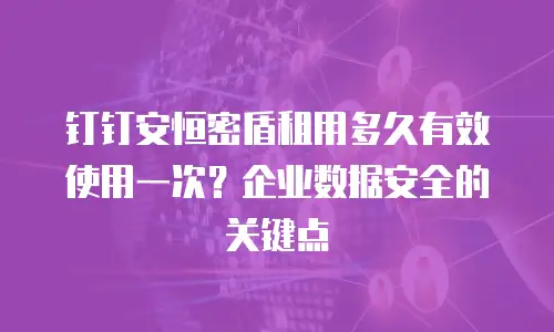 钉钉安恒密盾租用多久有效使用一次？企业数据安全的关键点
