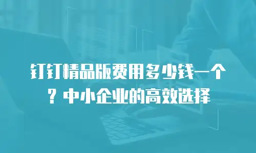 钉钉精品版费用多少钱一个？中小企业的高效选择