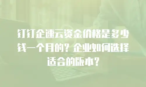 钉钉企速云资金价格是多少钱一个月的？企业如何选择适合的版本？