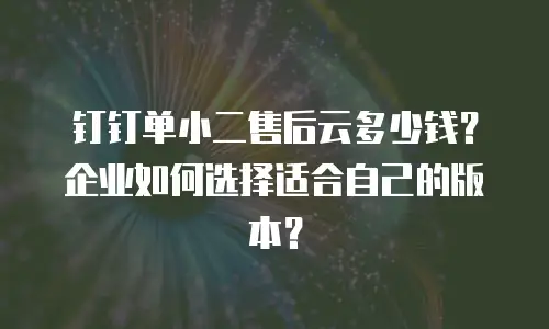 钉钉单小二售后云多少钱？企业如何选择适合自己的版本？