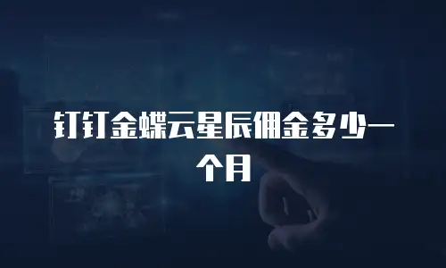 钉钉金蝶云星辰佣金多少一个月