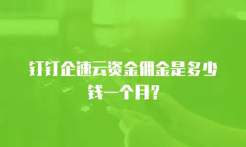 钉钉企速云资金佣金是多少钱一个月？