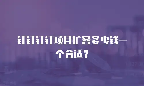 钉钉钉钉项目扩容多少钱一个合适？
