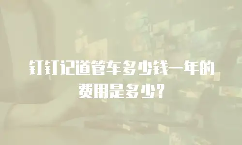 钉钉记道管车多少钱一年的费用是多少？