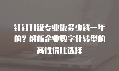钉钉升级专业版多少钱一年的？解析企业数字化转型的高性价比选择