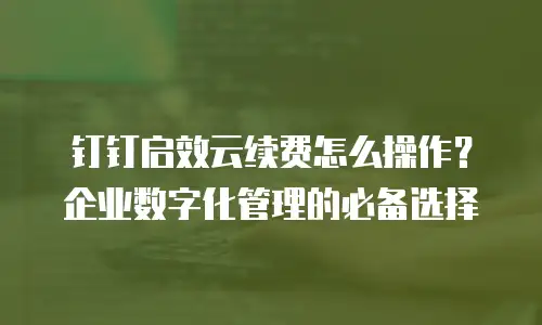 钉钉启效云续费怎么操作？企业数字化管理的必备选择