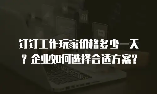 钉钉工作玩家价格多少一天？企业如何选择合适方案？