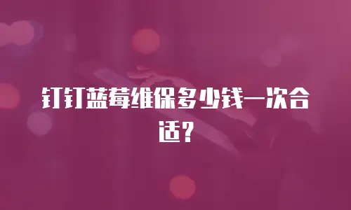 钉钉蓝莓维保多少钱一次合适？