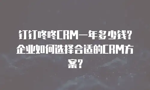 钉钉咚咚CRM一年多少钱？企业如何选择合适的CRM方案？