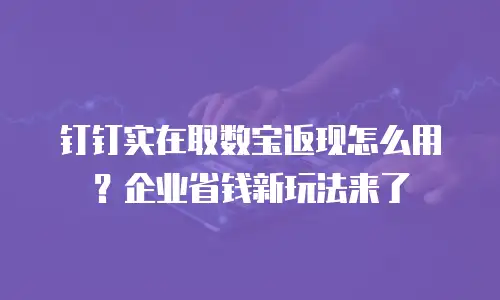 钉钉实在取数宝返现怎么用？企业省钱新玩法来了