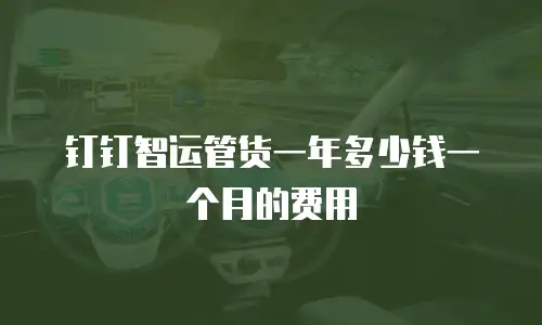 钉钉智运管货一年多少钱一个月的费用