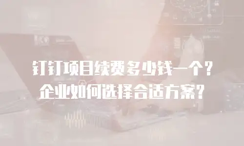 钉钉项目续费多少钱一个？企业如何选择合适方案？