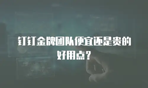 钉钉金牌团队便宜还是贵的好用点？