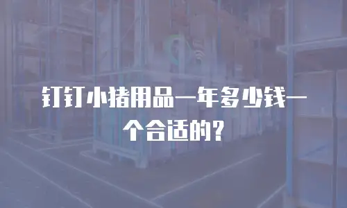 钉钉小猪用品一年多少钱一个合适的？