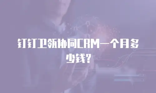 钉钉卫瓴协同CRM一个月多少钱？