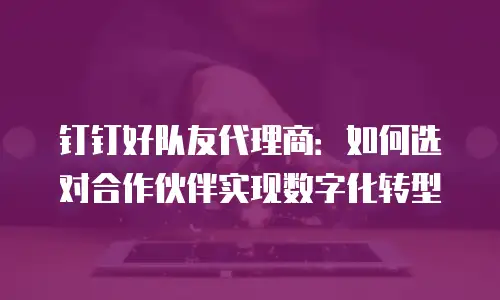 钉钉好队友代理商：如何选对合作伙伴实现数字化转型