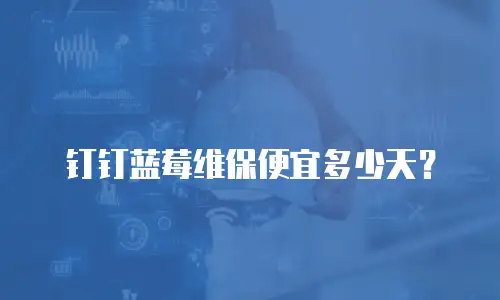 钉钉蓝莓维保便宜多少天？
