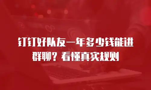 钉钉好队友一年多少钱能进群聊？看懂真实规则