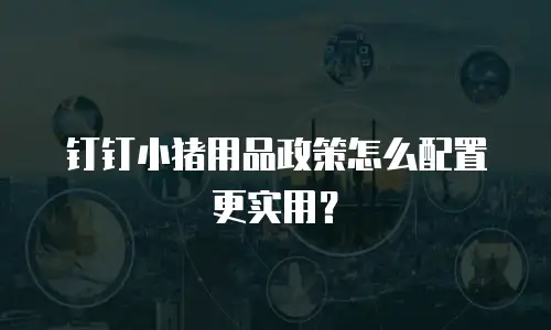 钉钉小猪用品政策怎么配置更实用？
