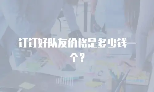 钉钉好队友价格是多少钱一个？