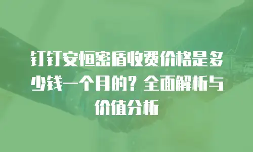 钉钉安恒密盾收费价格是多少钱一个月的？全面解析与价值分析