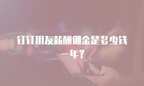 钉钉用友薪酬佣金是多少钱一年？