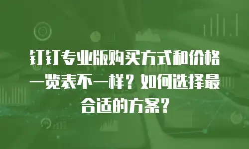 钉钉专业版购买方式和价格一览表不一样？如何选择最合适的方案？
